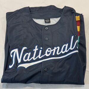 Nationals Jersey Harry Potter Gray Apparel adult Large